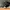 Sepatu Sneakers Adidas BYW Pharell Black White size 43 photo 2
