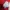 Nike Sportswear Casual Track jacket Pria red photo 4