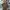 Timberland Streetwear Luxury Polo Shirt Pria Brown