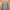 Elle Paris Homme Jas Blazer Suit Second Original