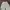 Minimalist Casual Culotte Wanita khaki photo 1