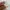 Winter puffer jacket le coq sportif duratherm goose down photo 7
