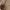 Gucci Vintage GG Braided Leather Strap photo 4