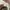 Jeep Casual Sweater Pria white photo 4