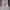 Moncler Gorpcore Hoody Pria silver white photo 6