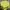 Uniqlo Casual Sweater Pria Yellow
