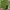 Uniqlo Casual Sweater Pria green photo 1