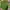Uniqlo Casual Sweater Pria Green