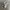 NewBalance 530 Retro Grey Raw photo 3