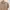 Ined Homme by Yohji Yamamoto Kemeja Stripes Khaki Size S photo 2