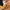 Streetwear Gorpcore Sweatpants & Joggers Pria navy yellow photo 7