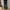 Champion Streetwear Sportswear Sweatpants & Joggers Pria black photo 3