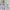 Mercibeaucoup x Issey Miyake kemeja White Printed Size M photo 2