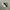 ZARA Casual Sweatshirt Pria multicolor photo 3