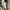 Streetwear Gorpcore Sweatpants & Joggers Pria cream photo 2