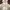 The North Face Gorpcore Casual Trench coat Pria white cream photo 3