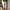Streetwear Gorpcore Sweatpants & Joggers Pria gray photo 1
