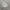 Casual Sweatshirt Pria multicolor photo 3
