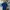Vintage Streetwear Polo shirt Pria navy photo 2