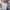 Streetwear Sportswear Polo shirt Pria white photo 1