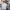 Streetwear Sportswear Polo shirt Pria white photo 2