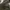 y2k graphic ziphood fitted top photo 7
