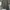 Dickies Streetwear Puffer jacket Pria photo 1