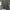 Dickies Streetwear Puffer Jacket Pria