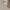 Adidas Sportswear Polo shirt Pria white photo 2