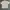 Adidas Sportswear Polo shirt Pria white photo 1