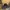1461 dr martin photo 3
