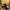 1461 Dr Martin