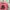 Uniqlo Vintage Streetwear T-shirt Pria pink photo 3