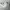 Nike Minimalist Futurist Sneakers Pria white photo 1