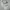 Nike Minimalist Futurist Sneakers Pria white photo 2