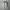 Nike Minimalist Futurist Sneakers Pria white photo 4