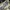 Air jordan 11 cool grey photo 3