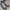 Air Jordan 11 Cool Grey