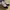 Air jordan 11 gratitude photo 2