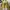 Sweater Kuning