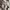 Uniqlo Biker Minimalist Track jacket Kids gray photo 5