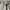 Uniqlo Biker Minimalist Track jacket Kids gray photo 3
