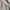 Uniqlo Biker Minimalist Track jacket Kids gray photo 6