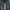 Blue Moon Blue Vintage Streetwear Jeans Pria navy photo 4