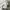 Nautica Casual Polo shirt Pria white photo 3