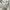 Keith Haring Casual Sweatshirt Pria gray photo 2