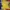 Adidas Vintage Casual Polo shirt Pria blue yellow photo 1