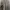 Kangol Casual Sweater Pria tan photo 1