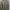 Kangol Casual Sweater Pria tan photo 5