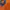 Polo Ralph Lauren Vintage Casual Polo shirt Pria orange blue photo 3